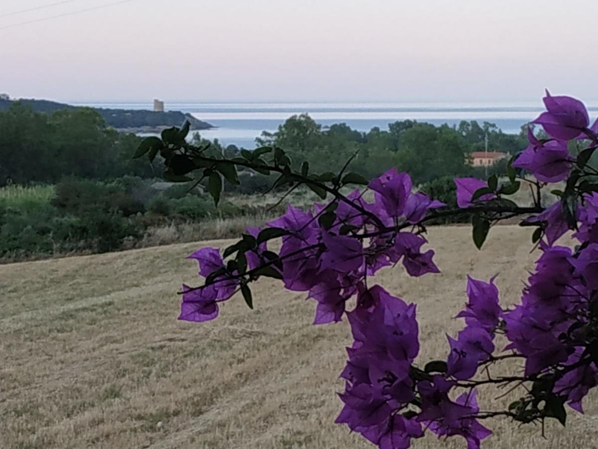 Vacanza In Ogliastra Tertenia Exterior photo
